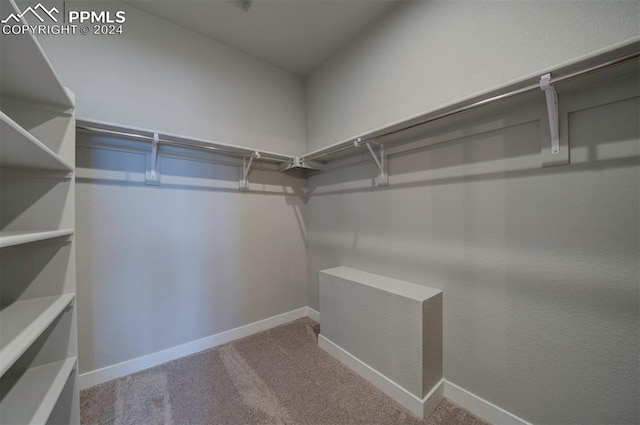 spacious closet featuring light carpet