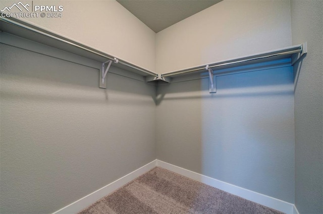 walk in closet with carpet flooring