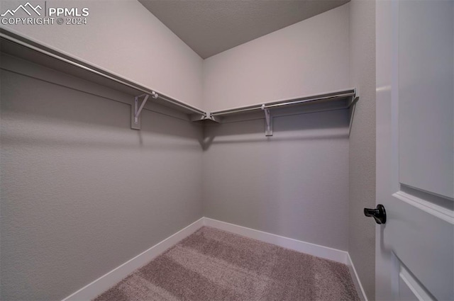 walk in closet with carpet floors