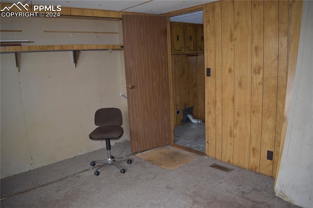 interior space with wood walls and carpet floors