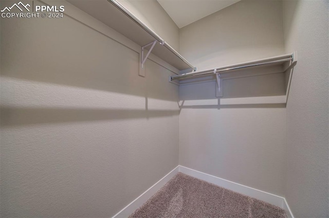 spacious closet featuring carpet floors