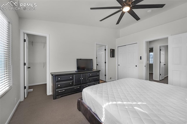 bedroom with lofted ceiling, carpet floors, and ceiling fan