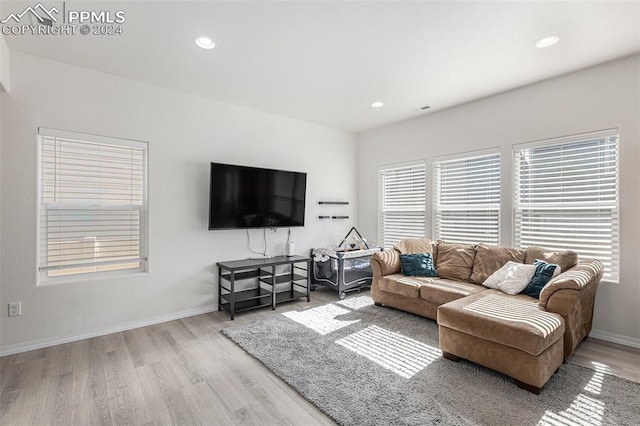 living room with light hardwood / wood-style floors