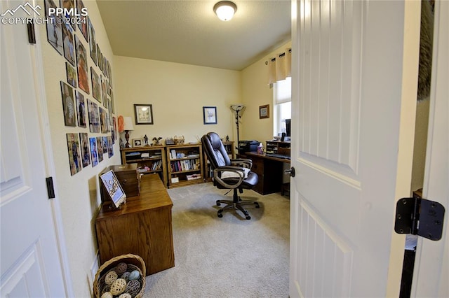 office featuring carpet floors