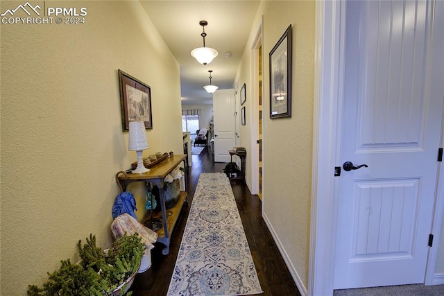 hall with dark wood-type flooring