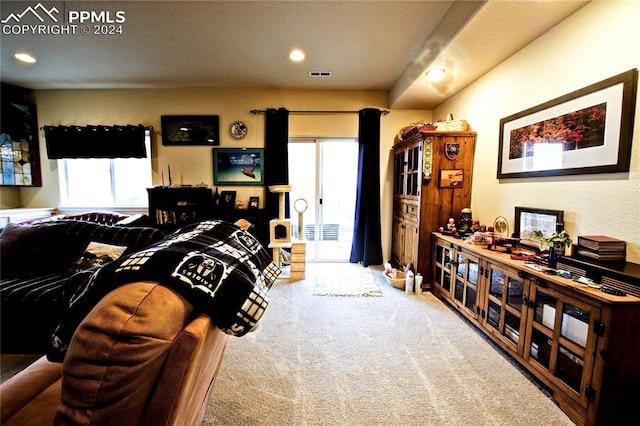 bedroom with carpet flooring