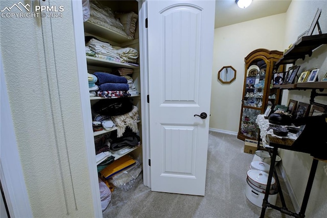 walk in closet featuring carpet flooring