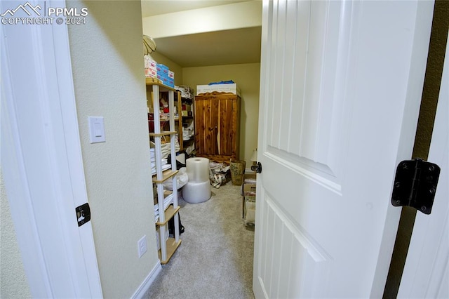 spacious closet with light colored carpet