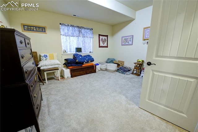 interior space with carpet floors