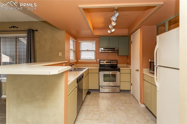 kitchen featuring kitchen peninsula, rail lighting, a tray ceiling, sink, and stainless steel appliances