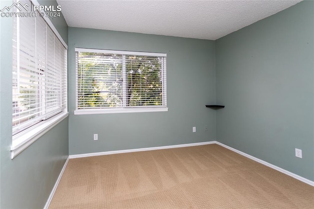 unfurnished room with a textured ceiling and carpet