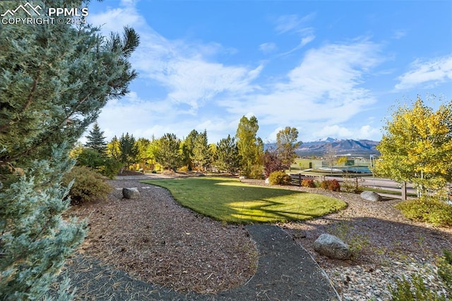 view of yard featuring a mountain view