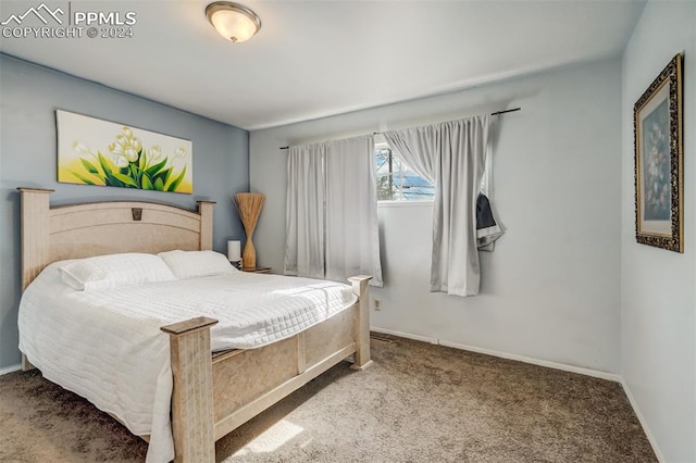 bedroom featuring carpet floors