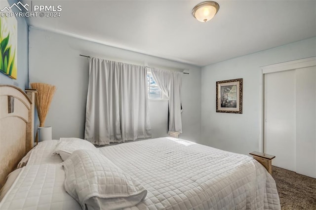 bedroom featuring a closet and carpet flooring