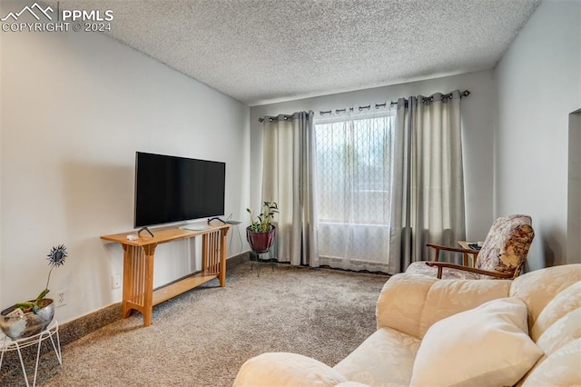 living room featuring carpet and a textured ceiling