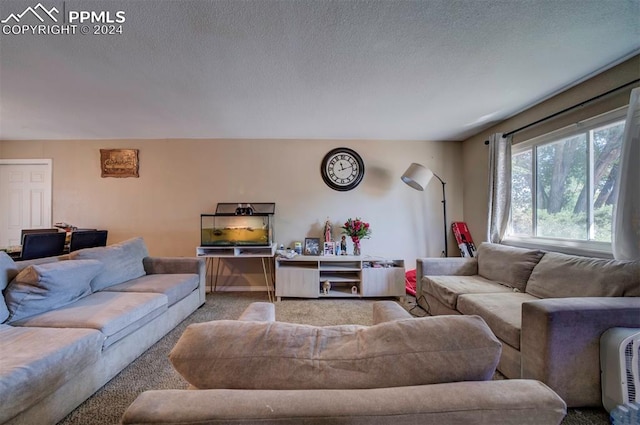 carpeted living room with a textured ceiling