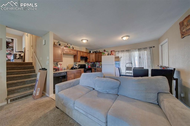 carpeted living room with sink