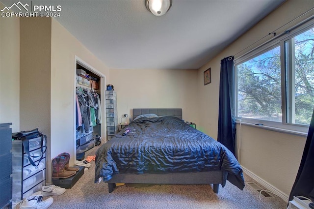 carpeted bedroom featuring a closet