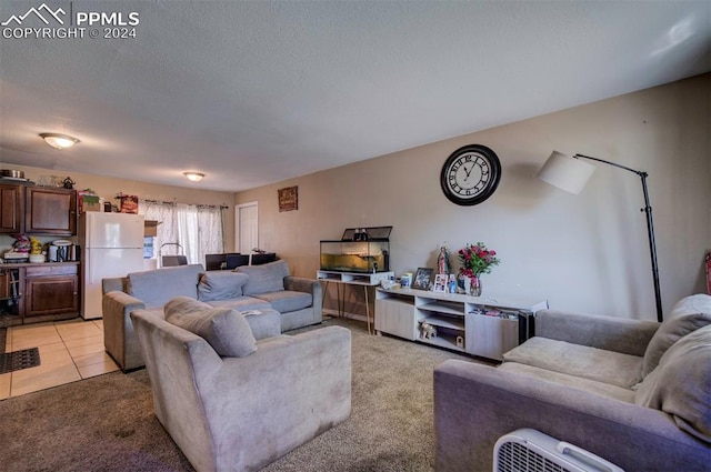 living room with light carpet and a textured ceiling