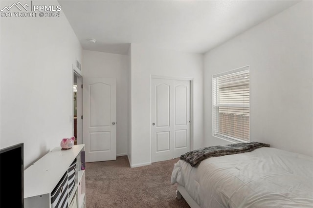 carpeted bedroom featuring a closet