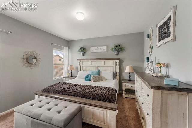 bedroom featuring dark carpet