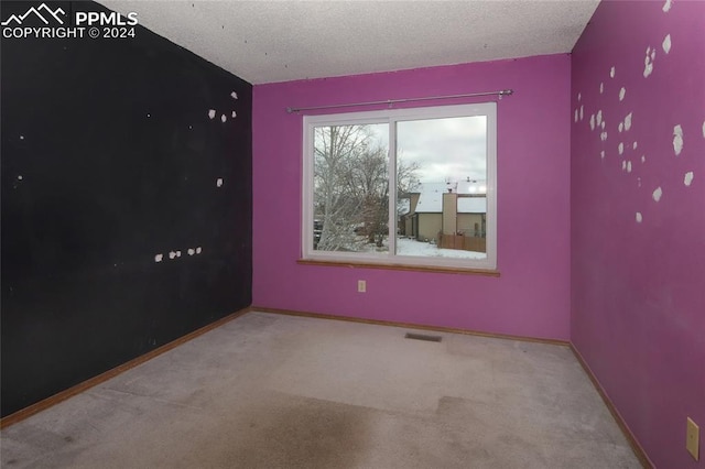 carpeted empty room with a textured ceiling