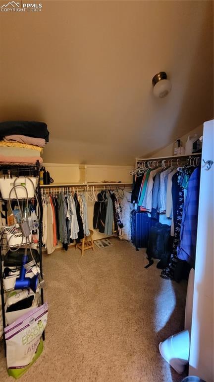 spacious closet with lofted ceiling