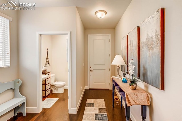 entryway featuring a wealth of natural light and dark hardwood / wood-style floors