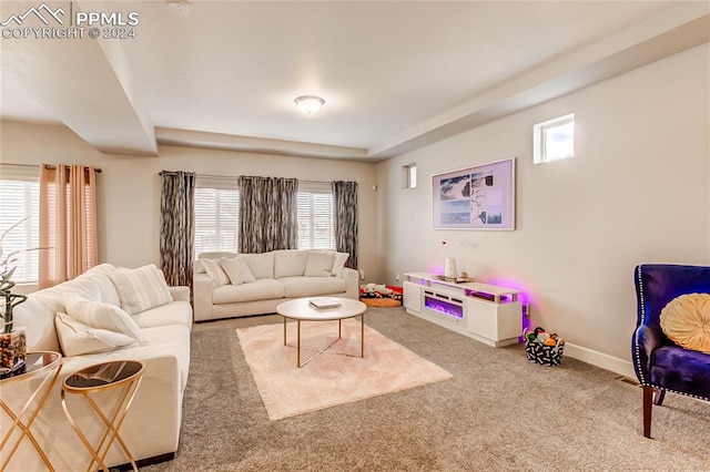 carpeted living room with a healthy amount of sunlight