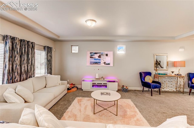 view of carpeted living room