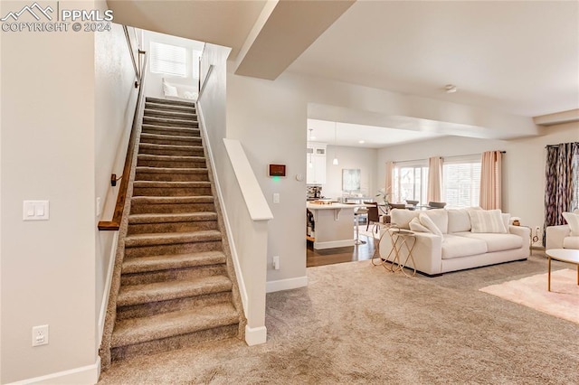 stairway featuring carpet floors