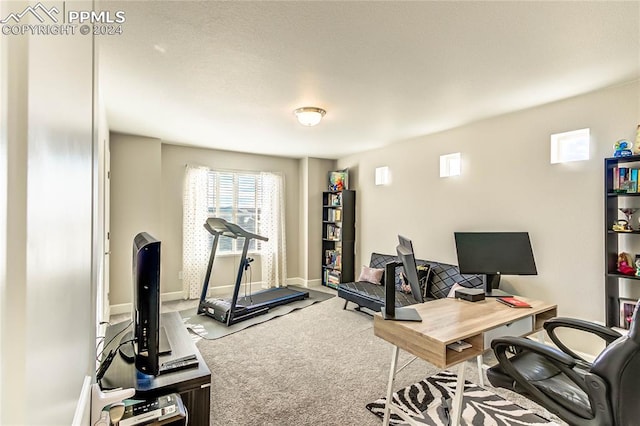 workout room with carpet floors