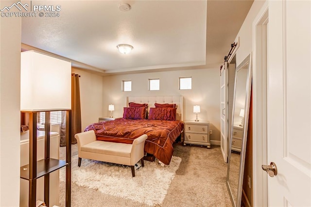 carpeted bedroom with multiple windows and a barn door