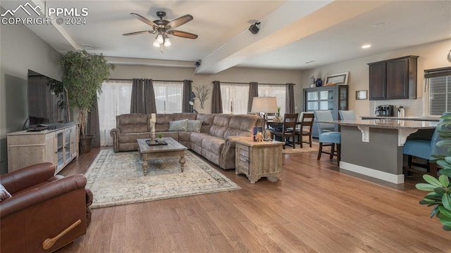 living room with ceiling fan and light hardwood / wood-style flooring