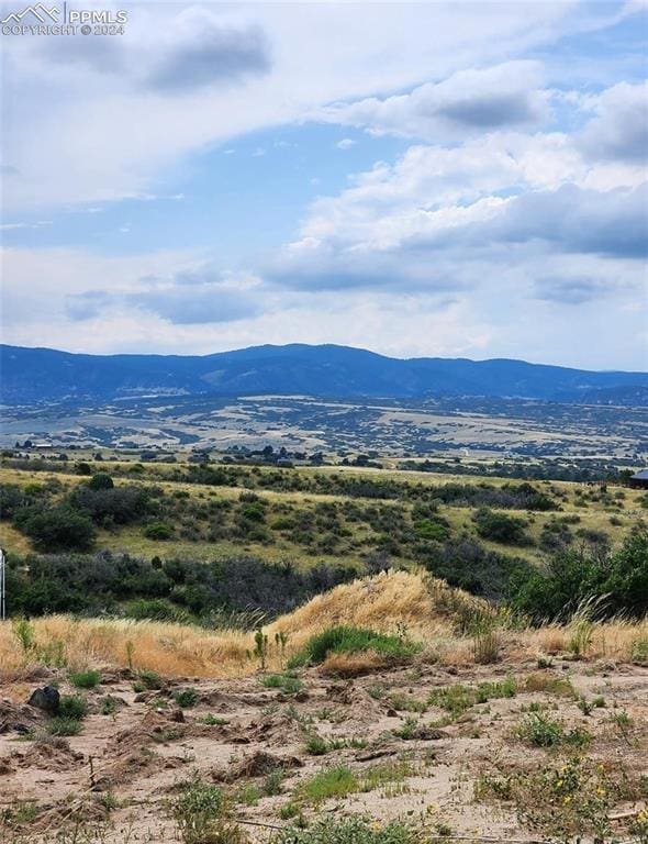1242 N Faver Dr, Castle Rock, CO 80109