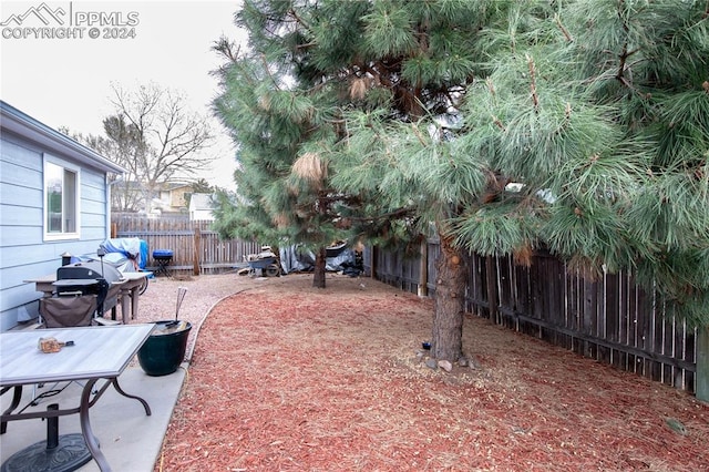 view of yard with a patio