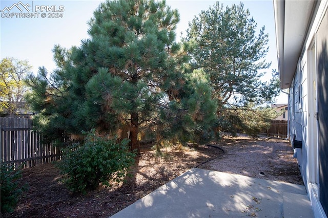 view of yard featuring a patio