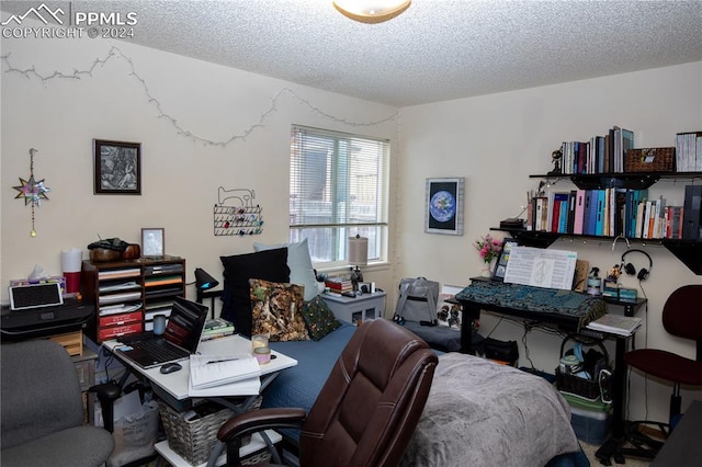 home office with a textured ceiling