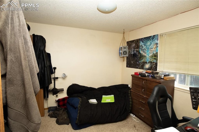 interior space with light carpet and a textured ceiling