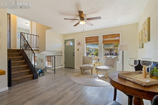 foyer featuring ceiling fan and wood-type flooring