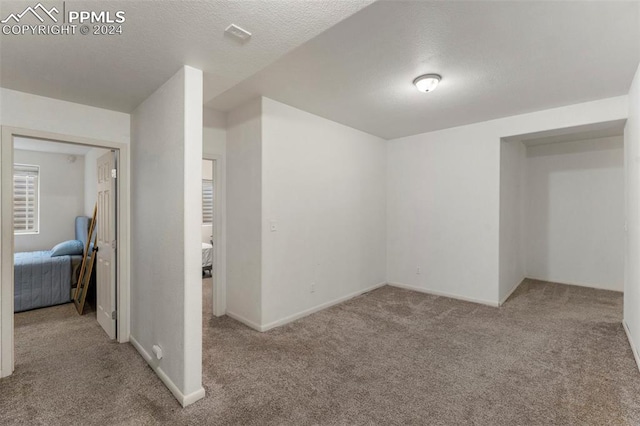 interior space with a textured ceiling and light colored carpet