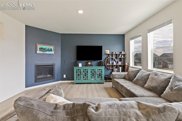 living room featuring hardwood / wood-style floors