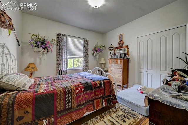 bedroom with hardwood / wood-style flooring and a closet