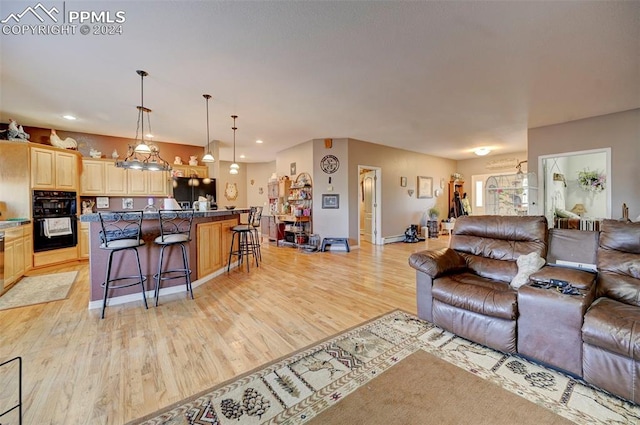 living room featuring light hardwood / wood-style floors