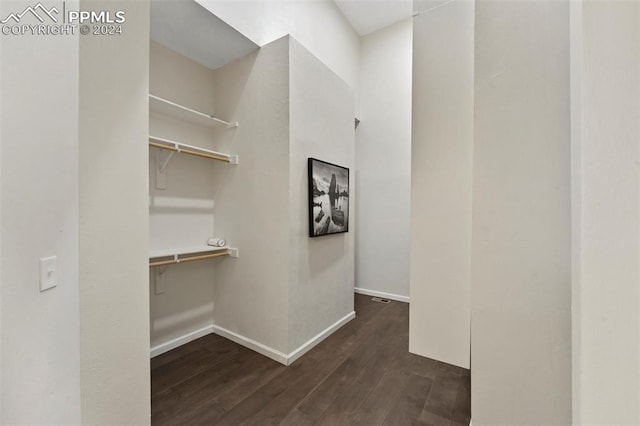 spacious closet with dark hardwood / wood-style flooring