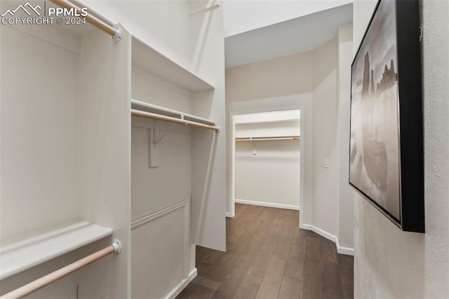 spacious closet featuring dark wood-type flooring