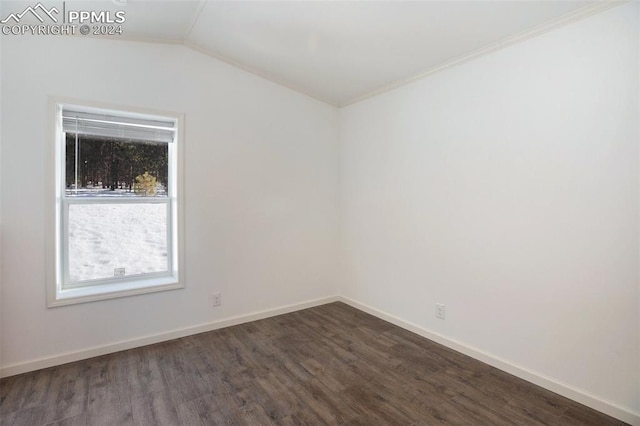 unfurnished room featuring lofted ceiling and dark wood-type flooring