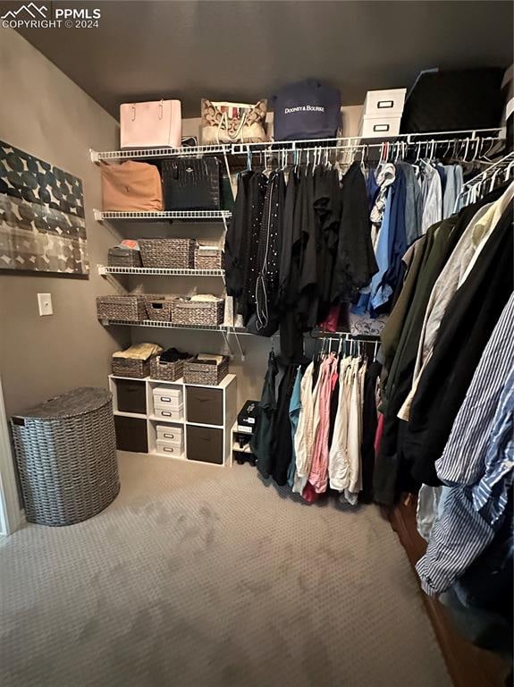 walk in closet featuring carpet flooring