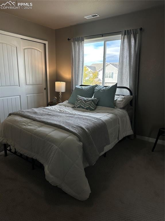 bedroom with a closet and carpet