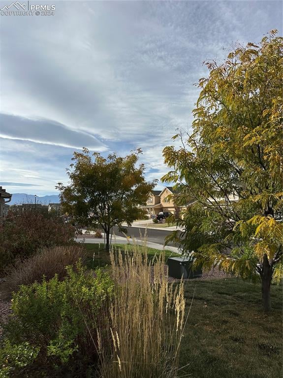 view of yard with a mountain view